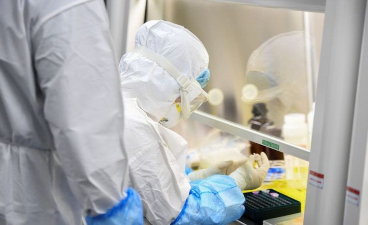 Barranquilla se ha convertido en la ‘capital hospitalaria del Caribe colombiano’