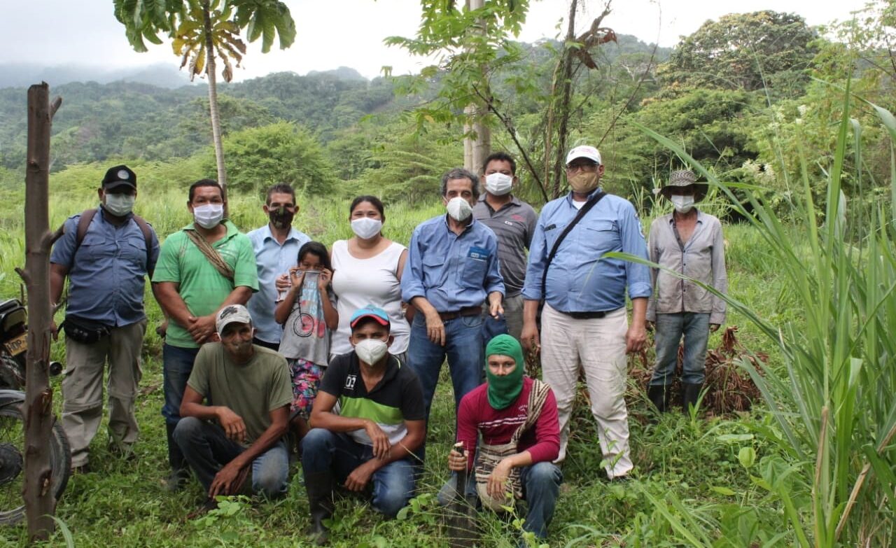 Sembrarán 800 árboles nativos en la Lengüeta del Parque Nacional Natural Sierra Nevada de Santa Marta