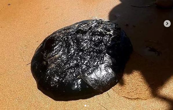 Corpoguajira estudia medidas para atender emergencia por manchas de petróleo en el mar Caribe