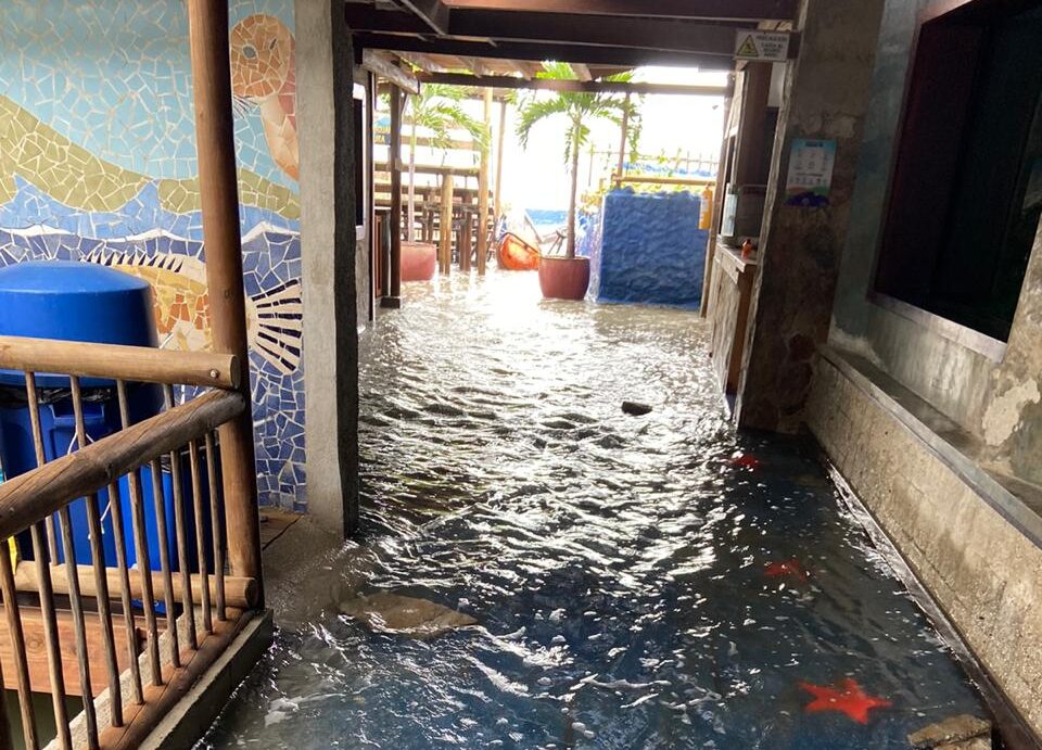 Mar de leva inundó el Acuario de El Rodadero, en Santa Marta