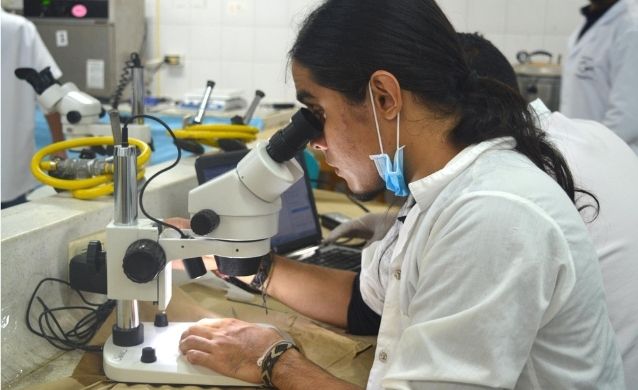 Ministerio de Educación Nacional otorgó Acreditación en Alta Calidad al Programa de Biología de Uniguajira