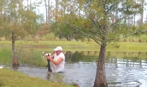 ¡Increíble! Hombre luchó contra un caimán para rescatar a su perrito en Estero, Florida
