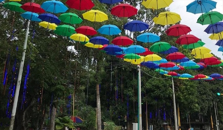 Pico y cédula y algunas restricciones para ver el alumbrado navideño en Montería