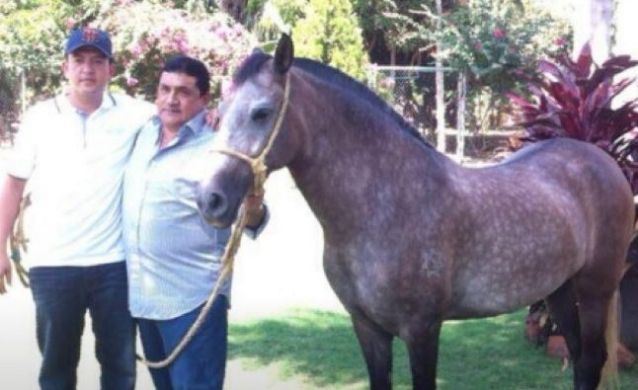 Poncho Zuleta se fracturó un brazo tras caerse de un caballo