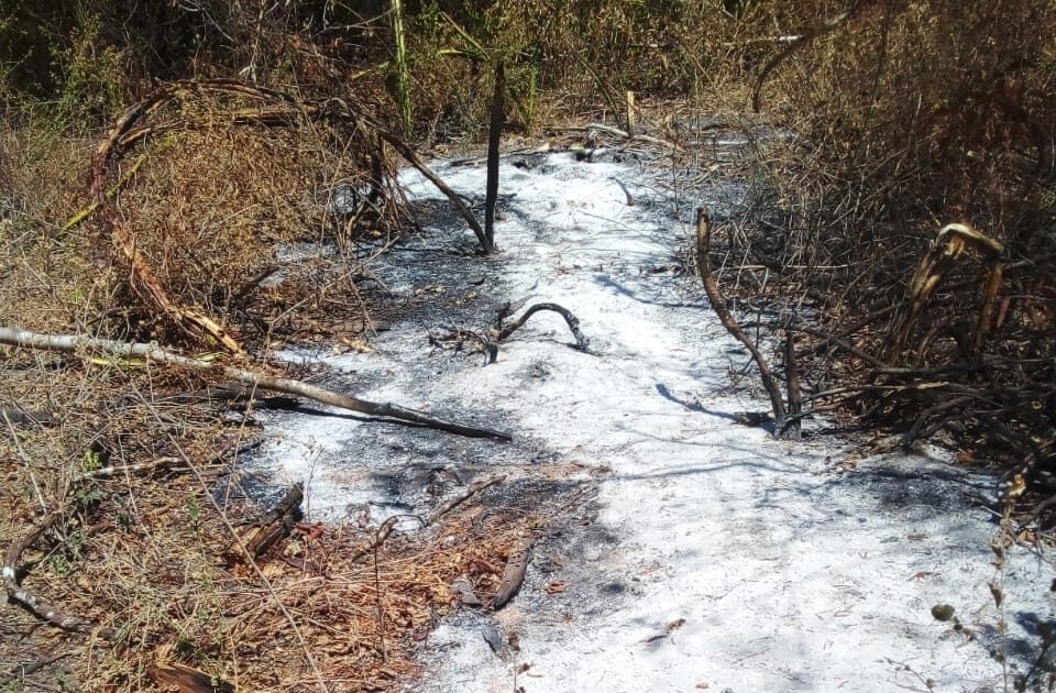 Abejeros provocan incendios y ponen en riesgo el ecosistema en la zona rural de Albania y Riohacha