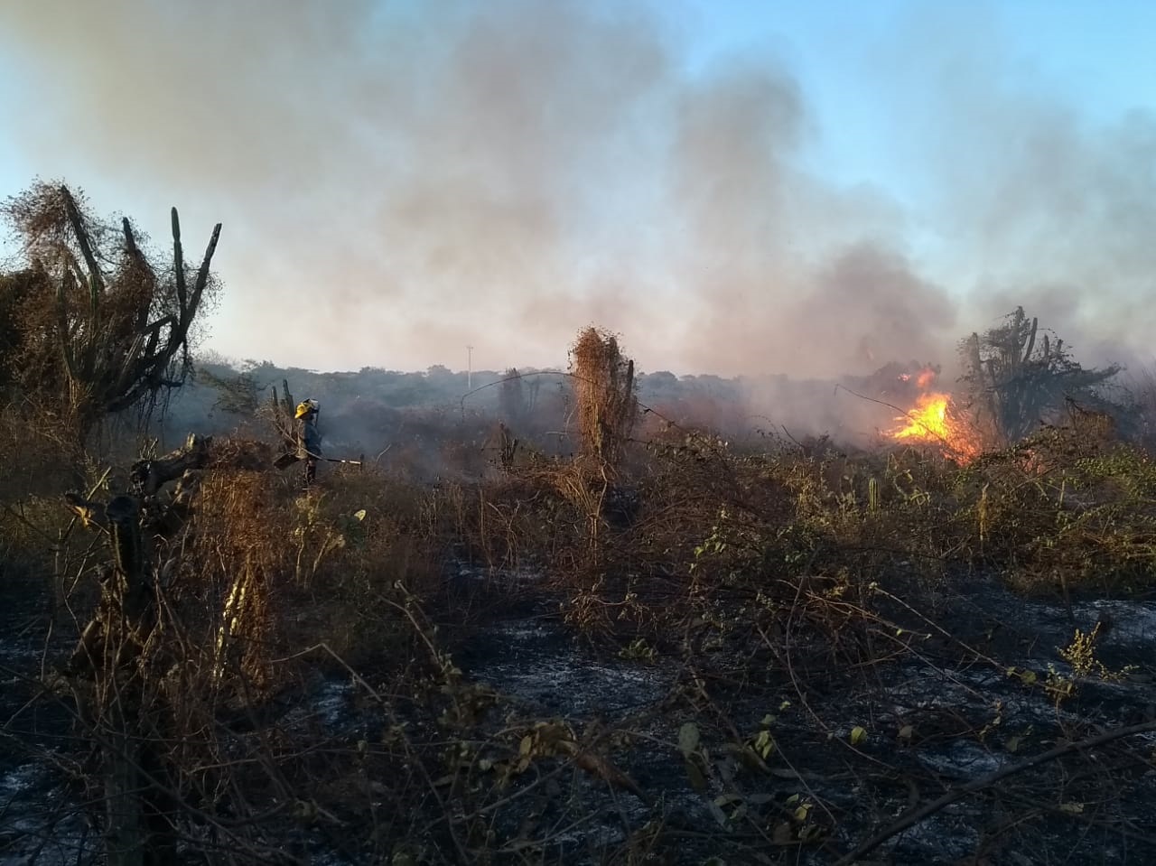 Atienden incendio que se presentó en El Pasito: 4 hectáreas resultaron afectadas