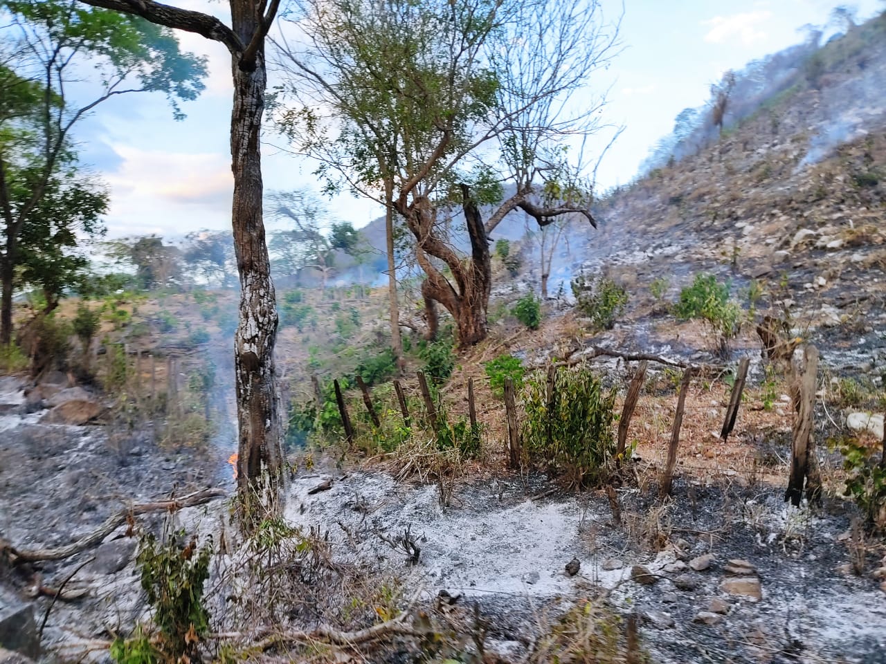 Voraz incendio, a punto de acabar con bosque tropical en Las Colonias, zona rural de Fonseca