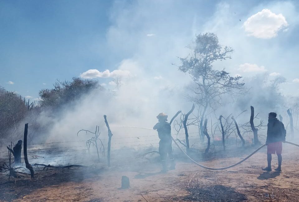 Incendio forestal arrasó con 10 hectáreas en zona rural de Riohacha; al parecer fue provocado