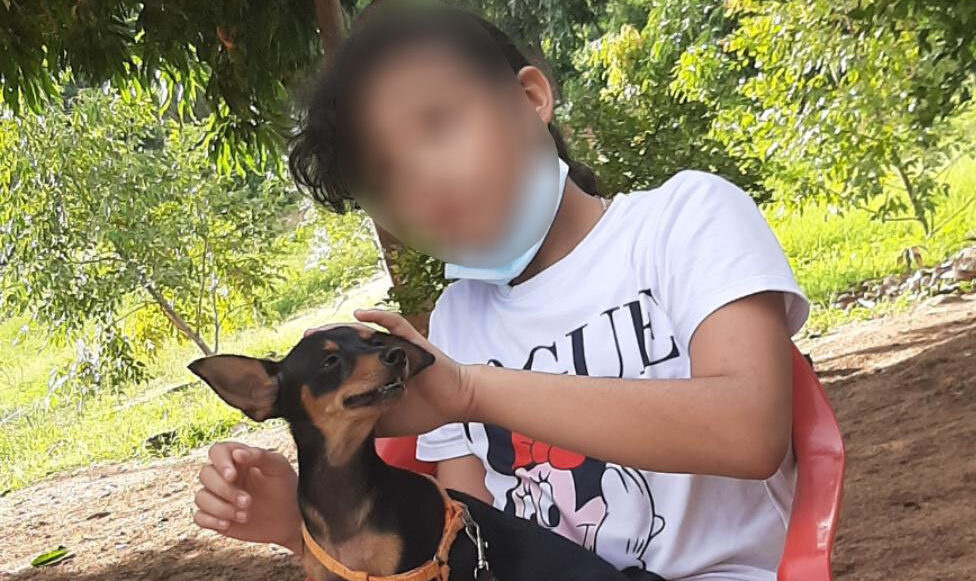Denuncian que perro mató a otro más pequeño en San Juan del Cesar