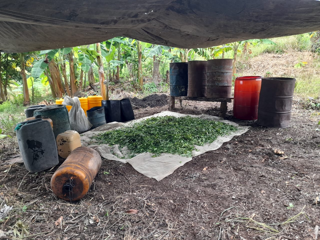 Ejército desmantela laboratorio para el procesamiento de pasta de coca en Bolívar
