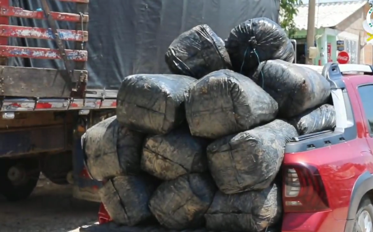 Entregan alimento para ganado como apoyo a pequeños productores en La Guajira