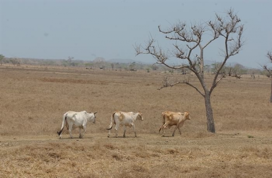 Comienza transición a temporada seca en el país, pero lluvias podrían seguir
