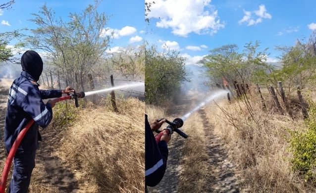 Incendio forestal afecta más de 250 hectáreas en zona rural de San Juan del Cesar