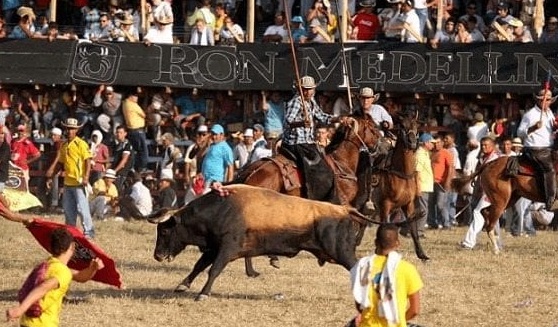 Alcaldía de Sincelejo emite reglamentación de las fiestas del 20 de enero