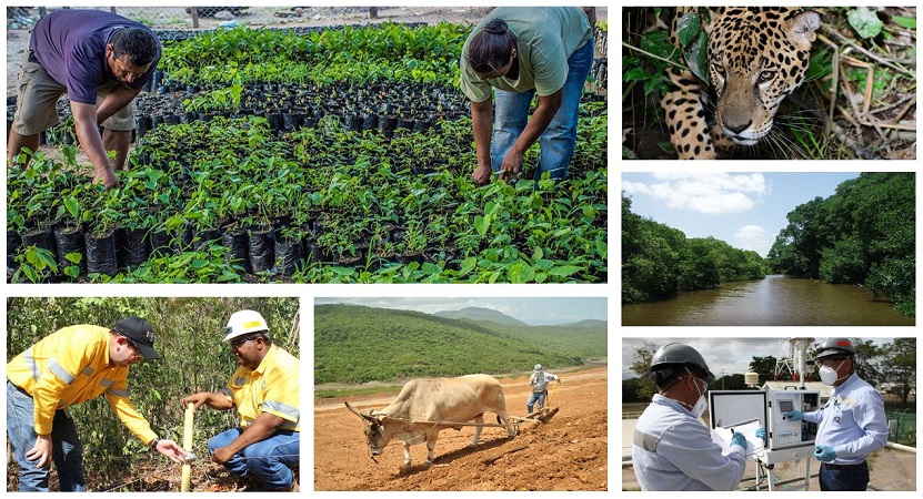 Inversión ambiental de Cerrejón superó los 300.000 millones de pesos en 2021