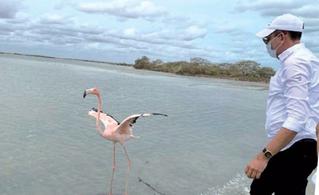 Corpoguajira avanza trabajos para la conservación del área protegida Musichi