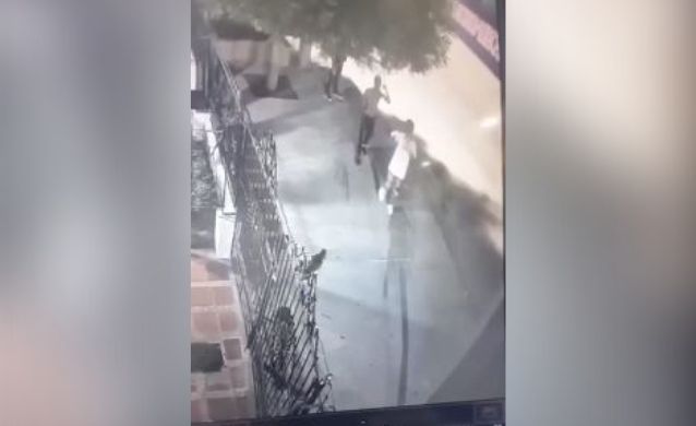 Corpoguajira rechaza muerte de un loro a manos de jóvenes desadaptados en Riohacha