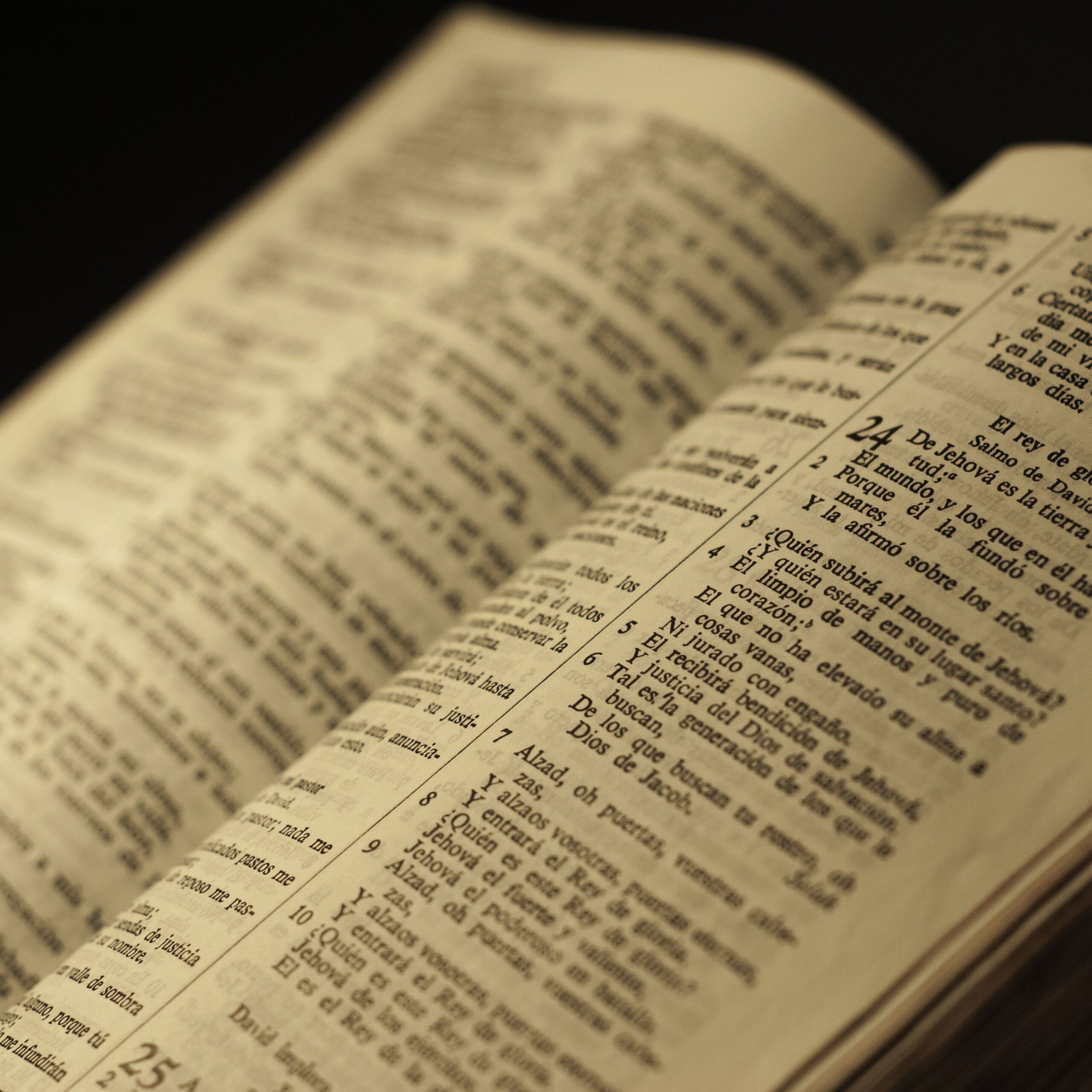 La misión de Jesús y su Iglesia