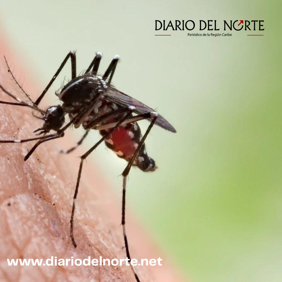 “Entre todos podemos eliminar los criaderos del mosquito transmisor del dengue”: Una campaña de Diario del Norte
