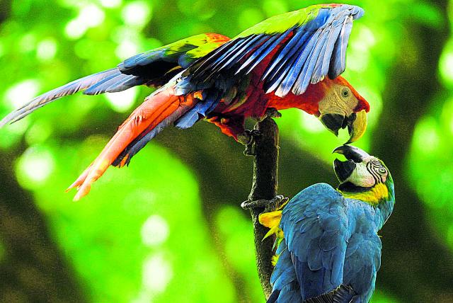 Datos para tener en cuenta para un buen ambiente y desarrollo sostenible