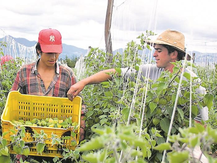 Buscando negocios futuros