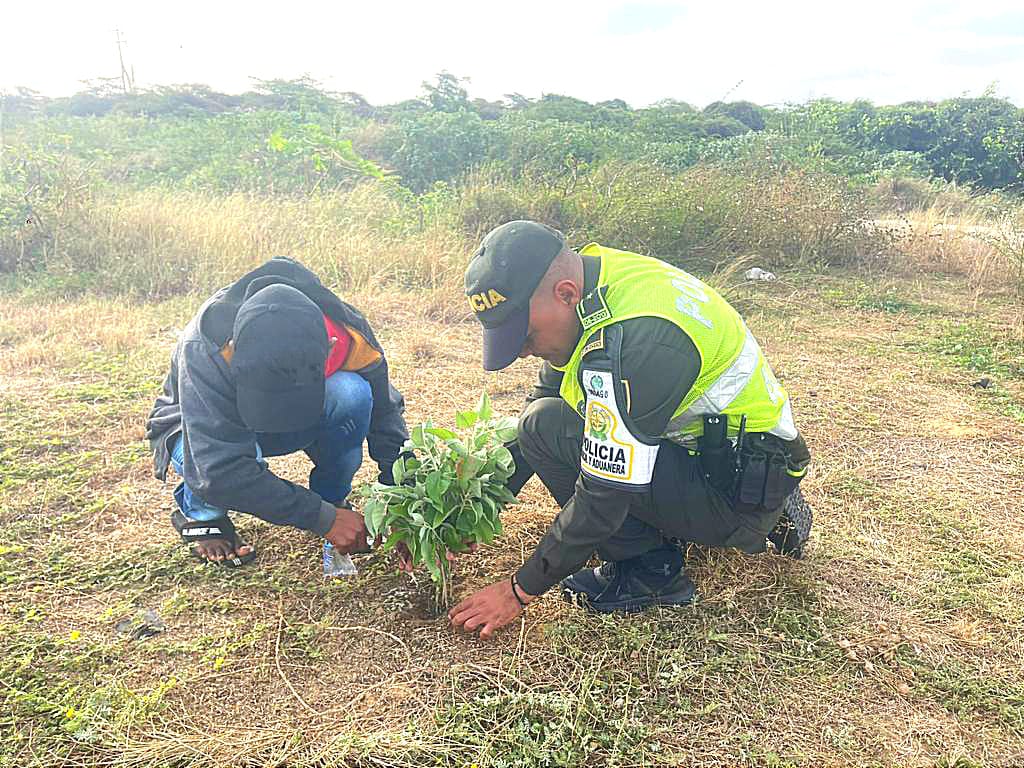 Policía Fiscal y Aduanera adelanta campaña  de siembra de árboles y recolección de basuras en La Guajira