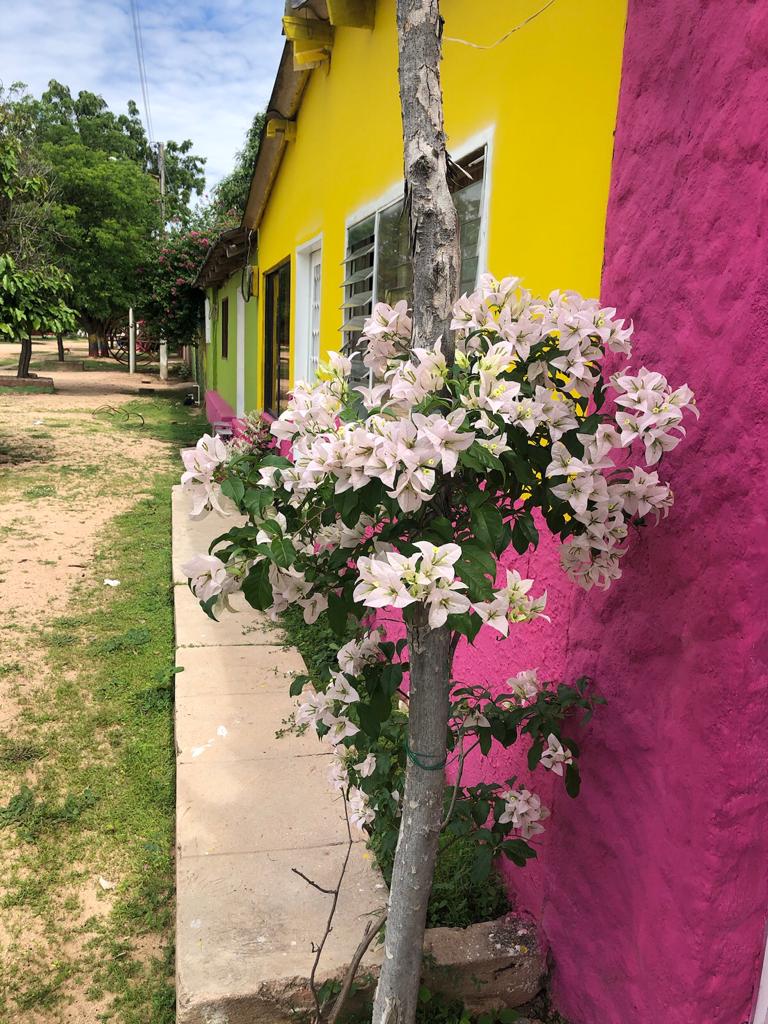 Yo dormí en ‘La Hamaca Grande’