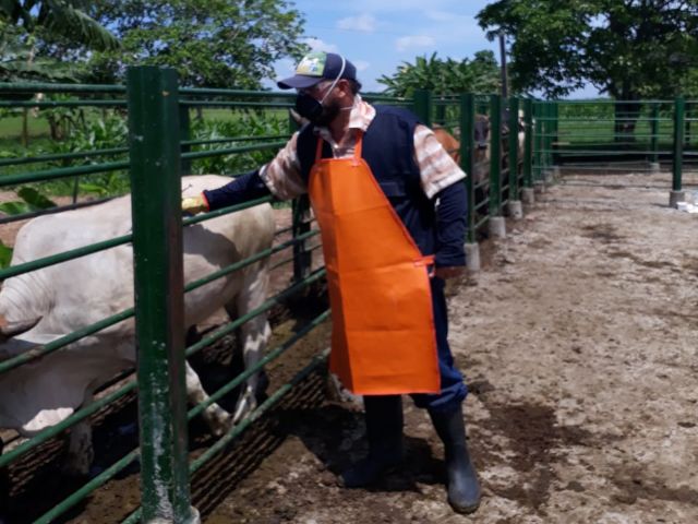 Brote de rabia bovina obliga a reforzar medidas en La Guajira