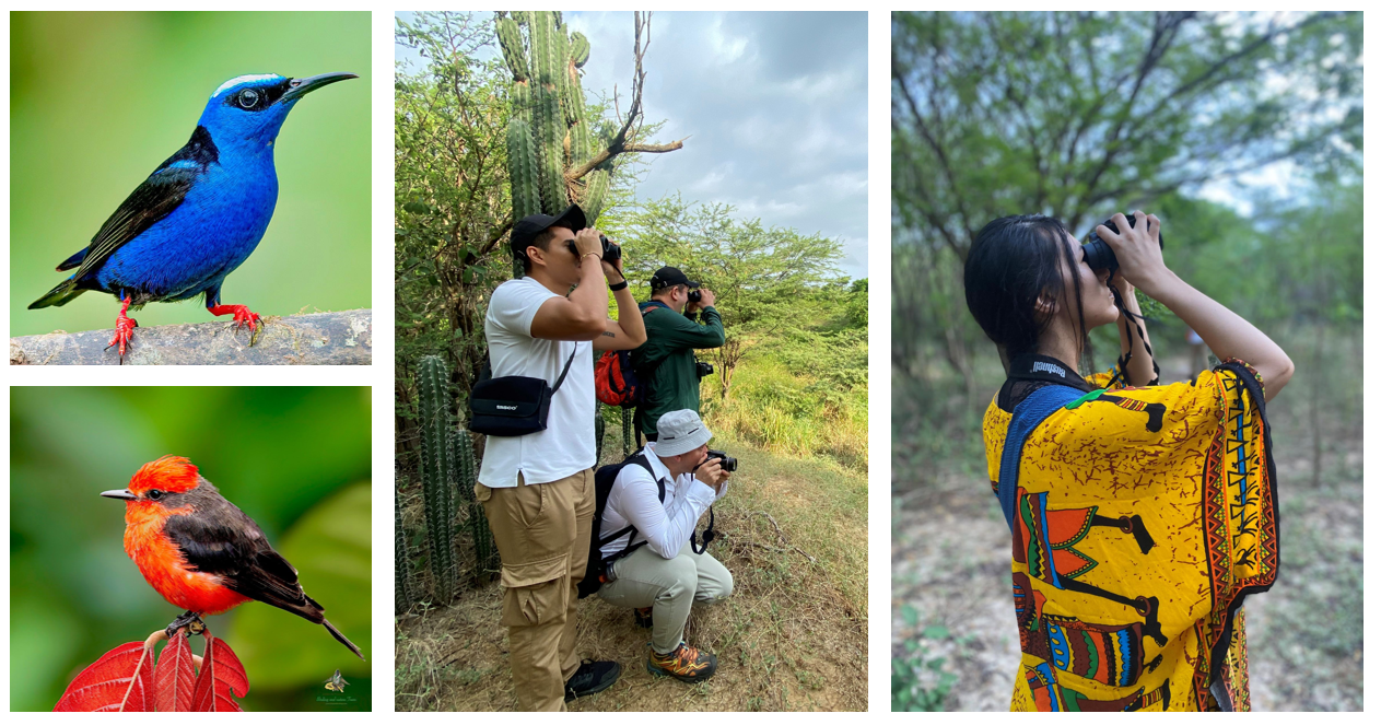 Por tercer año consecutivo La Guajira ocupó el segundo lugar en avistamientos de aves en el caribe colombiano
