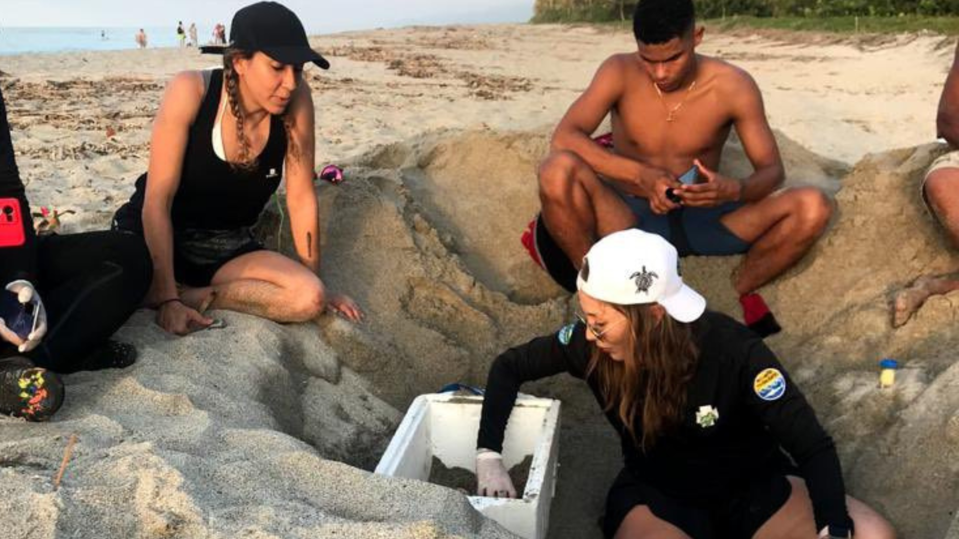 Tortuga Laúd en vía de extinción anidó en las playas de Mendihuaca