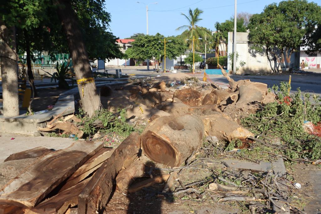 Alcaldía de Riohacha y comunidad supervisan avances de las obras del parque Simón Bolívar