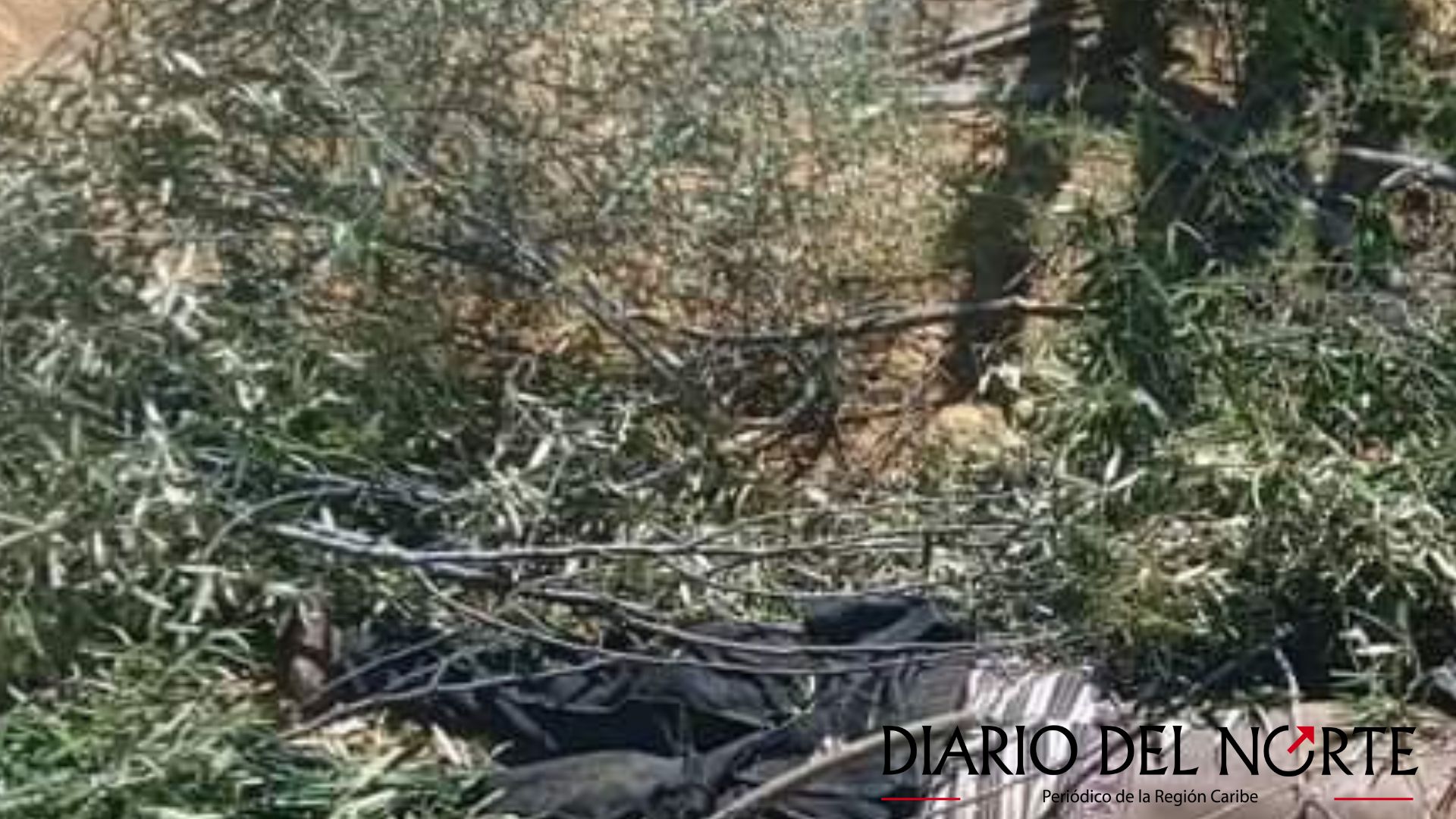 Identifican el cuerpo sin vida hallado en zona rural de Uribia: Llevaba cinco días desaparecido