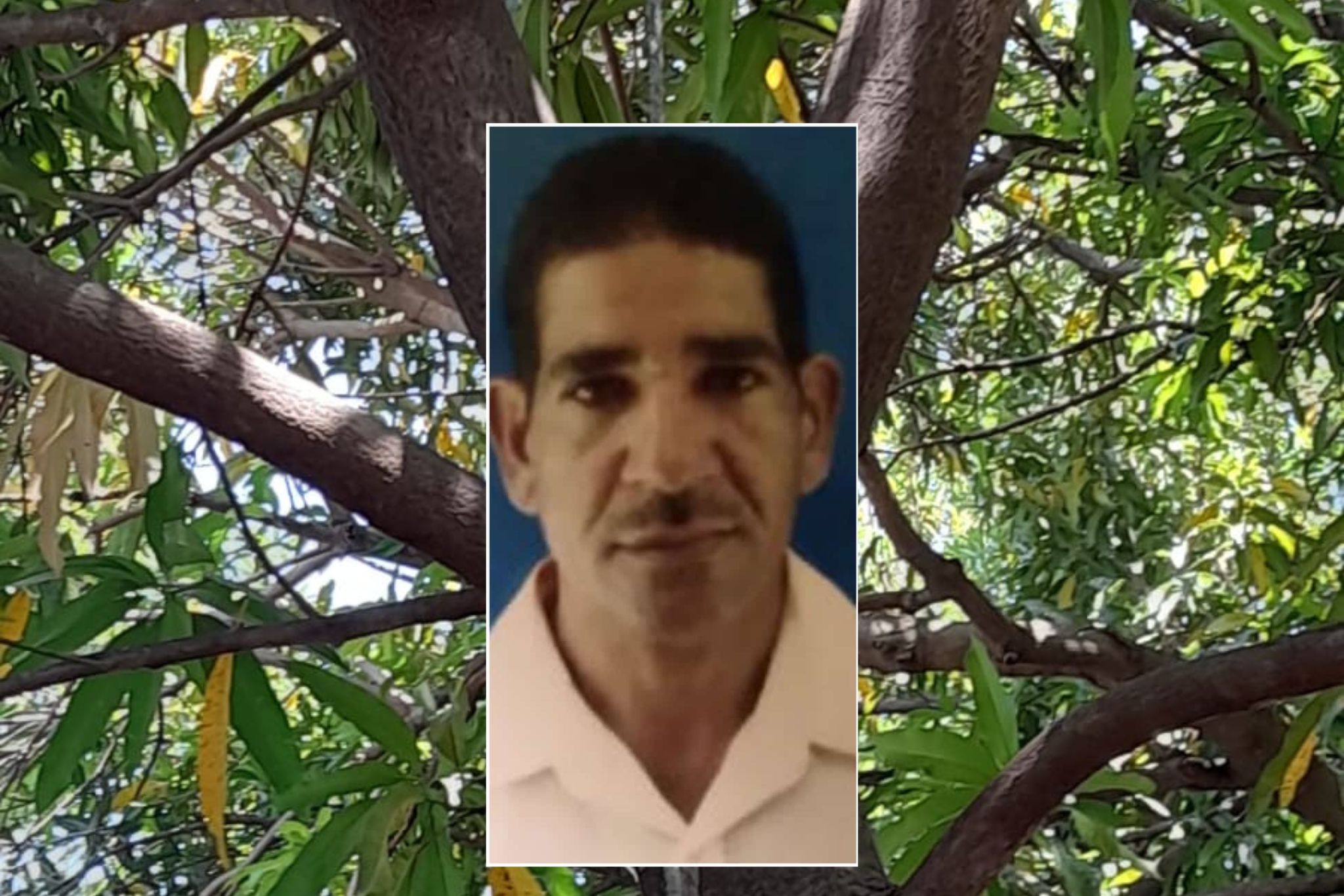 Hombre se habría quitado la vida al colgarse de un árbol en su vivienda en Villanueva