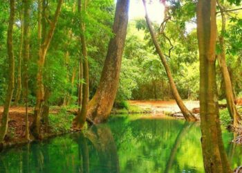 Proyecto minero Cañaverales, una oportunidad impostergable