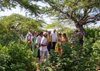 MinAmbiente lidera restauración ecológica de cuatro parques nacionales en La Guajira
