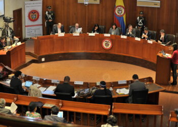 El fallo de la Corte Constitucional… se han equivocado o regresaré a la universidad