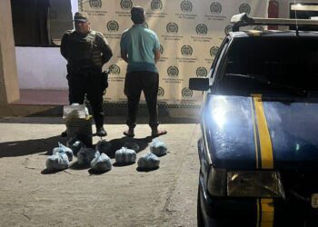 Una persona fue capturada por llevar 25 kilos de carne de tortuga en Maicao