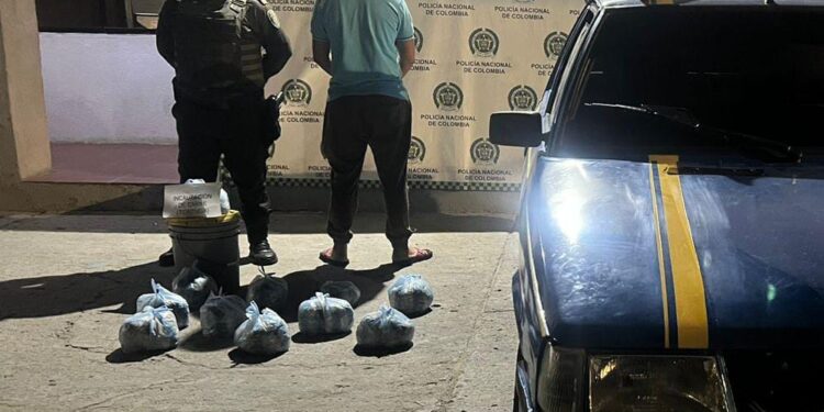 Una persona fue capturada por llevar 25 kilos de carne de tortuga en Maicao