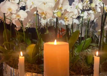 Navidad en armonía, alegría y paz