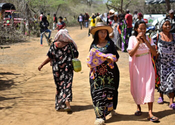 Más de 27.000 hogares wayuu serán incluidos en Tránsito a Renta Ciudadana
