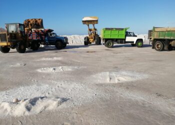 Gerente designada de Sama no actuará hasta perfeccionar trámite ante Cámara de Comercio