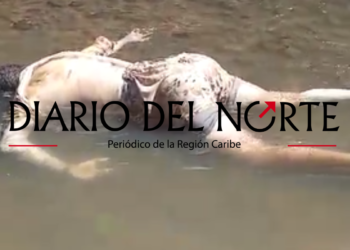 En morgue de Maicao sigue sin identificar segundo cuerpo hallado en el rio Abra