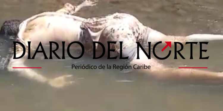 En morgue de Maicao sigue sin identificar segundo cuerpo hallado en el rio Abra