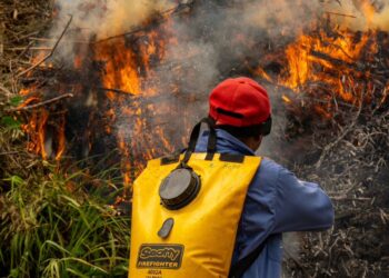 Corpoguajira advierte que alertas por incendios forestales están en nivel rojo