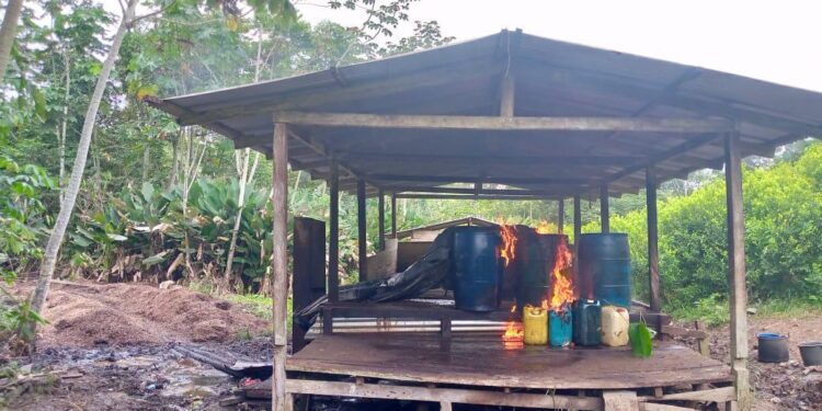 Destruyen ocho laboratorios utilizados para el procesamiento de pasta base de coca