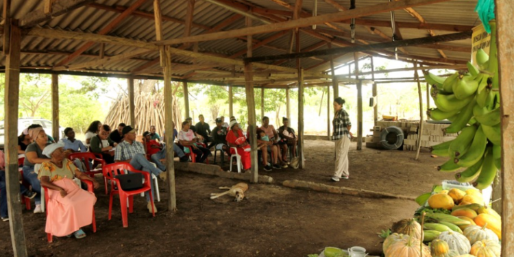 Decretan medidas de protección a Consejo de Comunidades Negras en Magdalena 