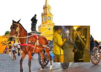 Alcalde electo de Cartagena anuncia que le «acabará la gallina de los huevos de oro» a estafadores de turistas