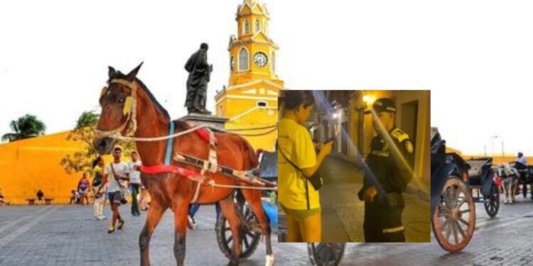 Alcalde electo de Cartagena anuncia que le «acabará la gallina de los huevos de oro» a estafadores de turistas