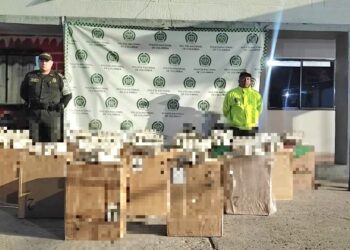 Incautan 7.500 cajetillas de cigarrillos de contrabando en el municipio de Maicao
