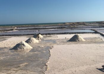 Se agudiza la crisis en la empresa Salinas de Manaure tras designación de gerente encargada